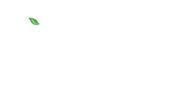 Chiropractic Lubbock TX Foundation Health & Wellness